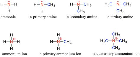 functional groups  organic nomenclature chemistry libretexts