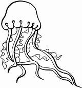 Jellyfish Qualle Kolorowanki Medusas Meduzy Realistic Druku Medusa Kolorowanka Ocean sketch template