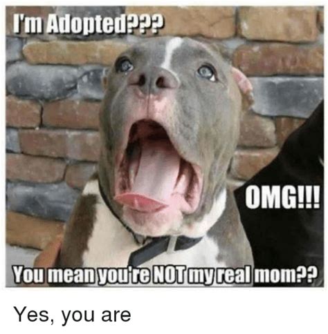 i m adoptede omg you meanyoure notmyreal mom not my real yes you are omg meme on sizzle