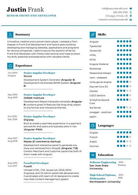 professional resume samples   resumekraft