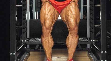 ultimate quadriceps focused workout  advanced lifters muscle fitness