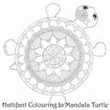 Coloring Pages Mandala Turtle Hattifant Choose Board sketch template