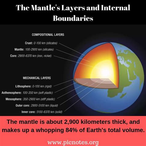 earths mantle   portion   planet  lies