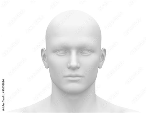 blank white male head front view stock illustration adobe stock