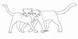 Warrior Cat Cats Coloring Pages Couples Couple Sandstorm Cute Ausmalbilder Warriors Hug Ausmalen Ausdrucken Zum Guess Katzen Firestar Trending Days sketch template