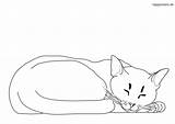 Katze Ausmalbilder Katzen Schlafende Malvorlage sketch template