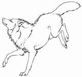 Wolf Lineart Deviantart Kipine Drawings Favourites Add Use sketch template