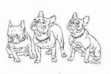 Coloring Bulldog French Pages Bull Kleurplaten sketch template