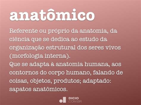 anatomico dicio dicionario  de portugues