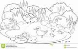 Pond Coloring Pages Ponds Drawing Printable Color Getcolorings 1300 52kb Getdrawings Drawings Copyright Contents sketch template