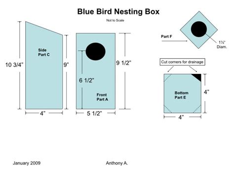 build  bluebird house nest box plans feltmagnet   bird house plans bluebird