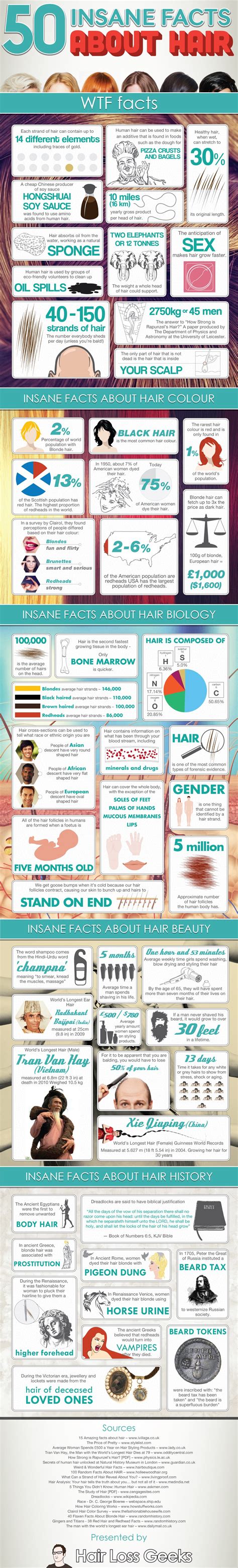 hair facts infographic hair facts  hair natural hair styles