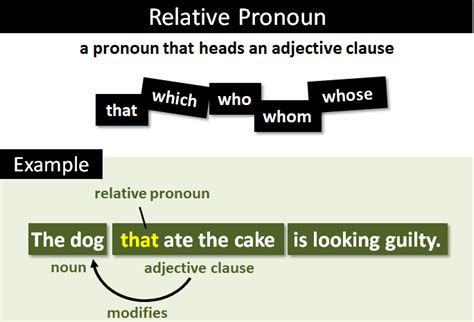 relative pronouns definition  examples