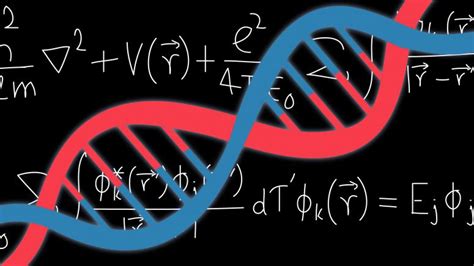 Representations And Algorithms For Computational Molecular Biology