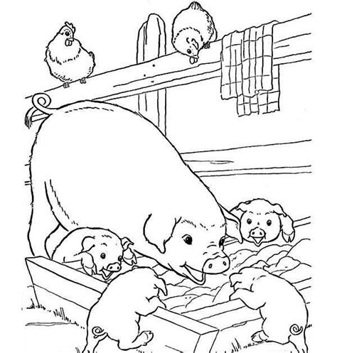 mom  baby animal coloring pages fasucsowy
