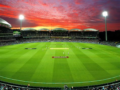 australia vs new zealand adelaide tickled pink as day