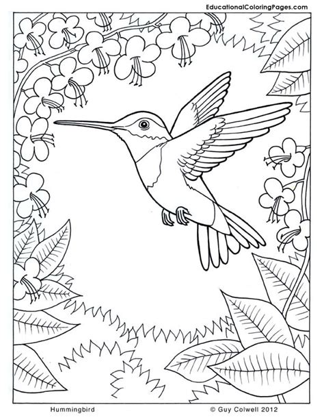 flower coloring animal coloring pages  kids