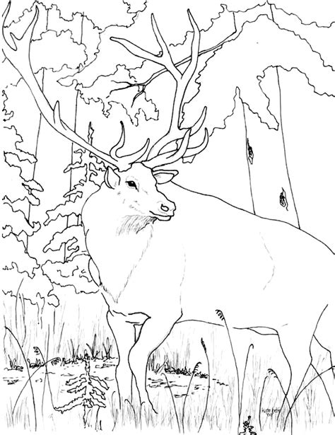 elk coloring pages clip art library