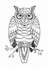 Owl Tattoo Designs Tattoos Outline Printable Drawing Stencils Owls Stencil Deviantart Drawings Print Patterns Branch Fc07 Sketches Body Thebodyisacanvas Fs71 sketch template