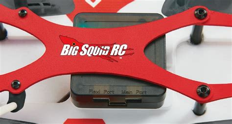 rise rxd quad racer  hobbico big squid rc rc car  truck news reviews