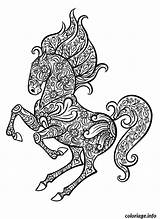 Horse Coloring Pages Adult Zentangle Animal Printable Head Vector Stock Ornate Hand Coloriage Cheval Adulte Doodle Vectors Color Book Template sketch template