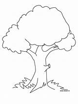 Coloring Pages Trees Tree Printable Kids sketch template