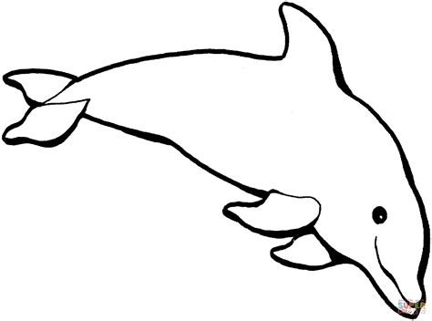 dolphin dives   sea coloring page  printable coloring