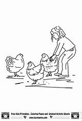 Chickens Feeding sketch template