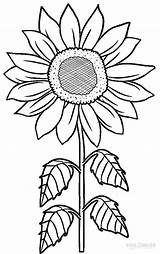 Coloring Pages Kids Sunflower sketch template