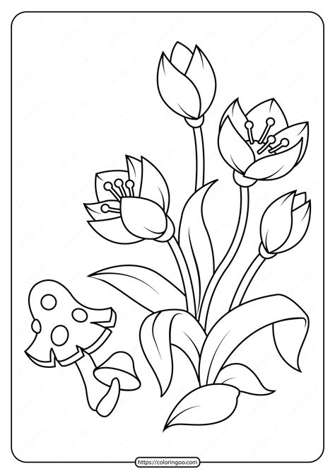 printable flower coloring pages  kids   printable