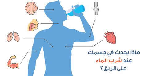 ماذا يحدث في جسمك عند شرب الماء على الريق؟ ويب طب