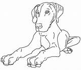 Hond Kleurplaat sketch template