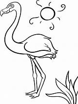 Flamingo Coloring Pages Pink Drawing Chickadee Print Flamingos Cartoon Birds Line Color Printable Getdrawings Template Cool Colorings Capped Recommended sketch template