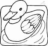 Ducks sketch template