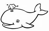 Coloring Pages Summer Whale Color Print Allkidsnetwork Searching Didn Try Looking Were Find sketch template