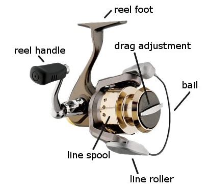 parts  spinning reel  diagram