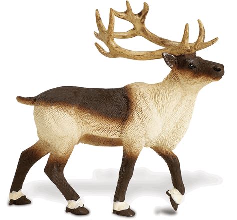 reindeer sandtopia
