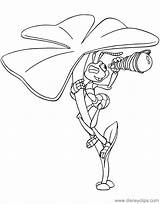Bug Disneyclips Flik Zoobles Spying sketch template