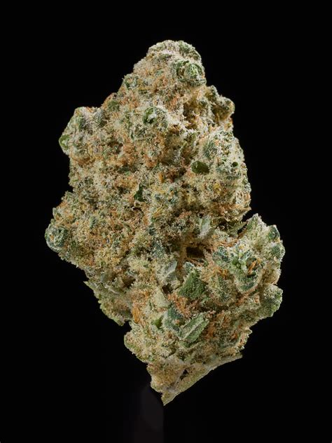 the best strains of all time 100 popular cannabis strains to try