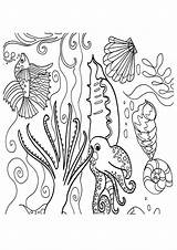 Coral Coloring Pages Reef Parentune Printable Books sketch template