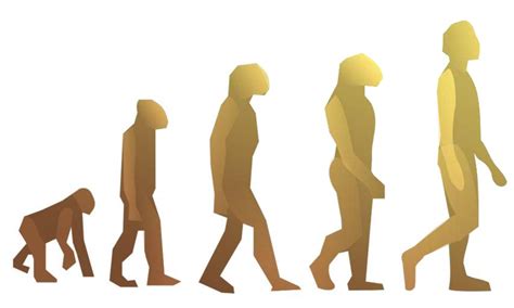 evolution disregard survival   fittest atheist faq blog