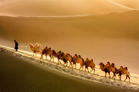 What Is The Ancient Silk Road