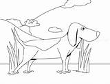 Beagle Coloring Pages Educative Printable sketch template