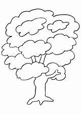 Coloring Tree Kapok Pages Trees Worksheets Parentune Kids sketch template