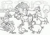 Farm Animals Coloring Cartoon Rural Scene Clipart Book Group Old Macdonald Animal Vector Pages Illustration Had Livestock Big Kids Stock sketch template