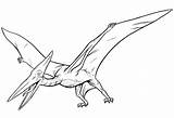 Pterodactyl Flying Pteranodon Teradactyl sketch template