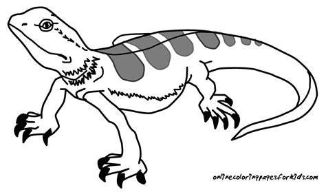 effortfulg reptile coloring pages