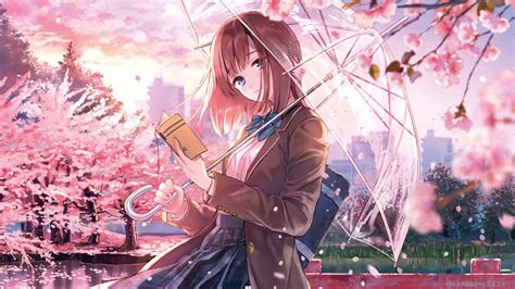 anime girl cherry blossom season  p