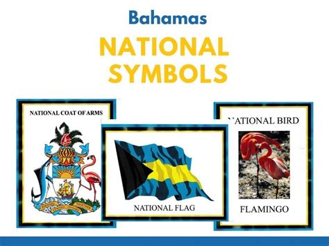 national symbols set  student shed