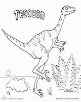 Archaeologist Troodon Worksheet Giganotosaurus sketch template